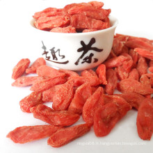 Ningxia Goji Berry Plant - Baies de Goji rouges sèches